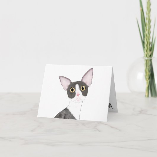 Carte de voeux Cornish Rex (Devant)