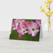 Carte de voeux : Cornouiller rose (Fleur jaune)