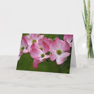 Carte de voeux : Cornouiller rose