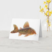 Carte de voeux Corydoras Catfish (Fleur jaune)