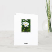 Carte de vœux Cosmos blanc (Dos)