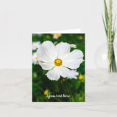 Carte de vœux Cosmos blanc (Devant)