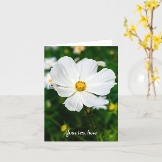 Carte de vœux Cosmos blanc (Fleur jaune)