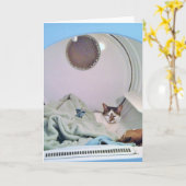 Carte de voeux Cosy Places (Fleur jaune)
