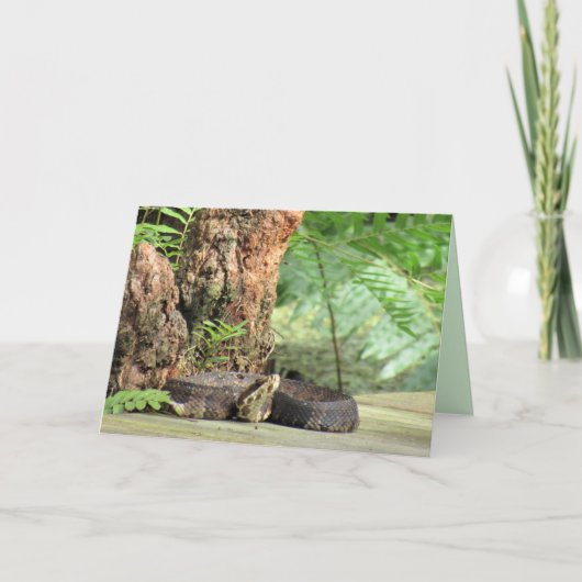 Carte de voeux Cottonmouth / Water Mocassin Snake (Devant)