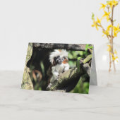 Carte de voeux Cottontop Tamarin (Fleur jaune)