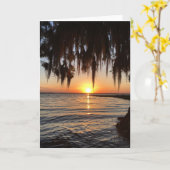 carte de voeux coucher de soleil et mousse espagno (Fleur jaune)