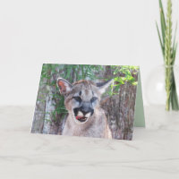 Carte de voeux Cougar Cub