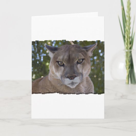 Carte de voeux Cougar Pounce (Devant)