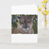 Carte de voeux Cougar Pounce (Fleur jaune)