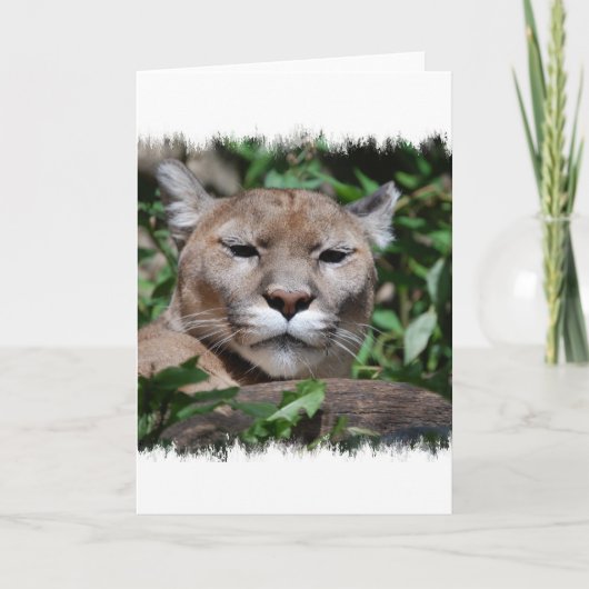Carte de voeux Cougar Predator (Devant)