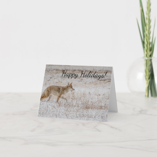 Carte de vœux coyote de Yellowstone (Devant)