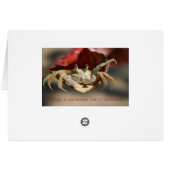 Carte de vœux Crabe dans une feuille rouge (Dos Horizontal)