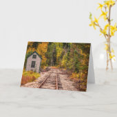 Carte de voeux Crawford Notch Train Tracks (Fleur jaune)
