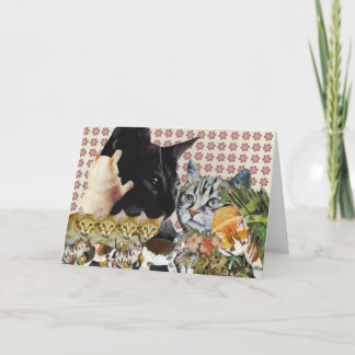 Carte de voeux Creative Cats