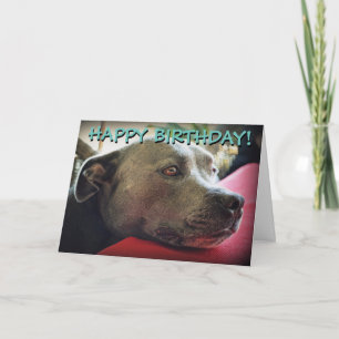 Carte de voeux customisée staffy mignonne