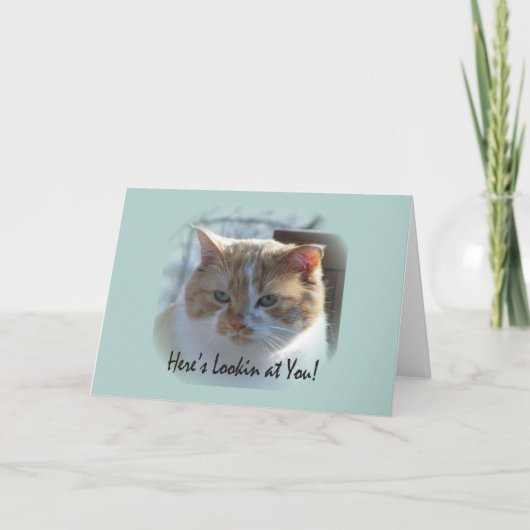 Carte de voeux Cute Cat Vignette (Devant)