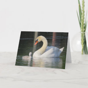 Carte de voeux cygne et cygnet