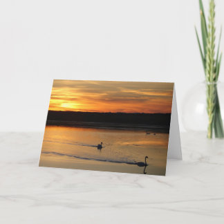 Carte de voeux : cygnes dans le coucher du soleil