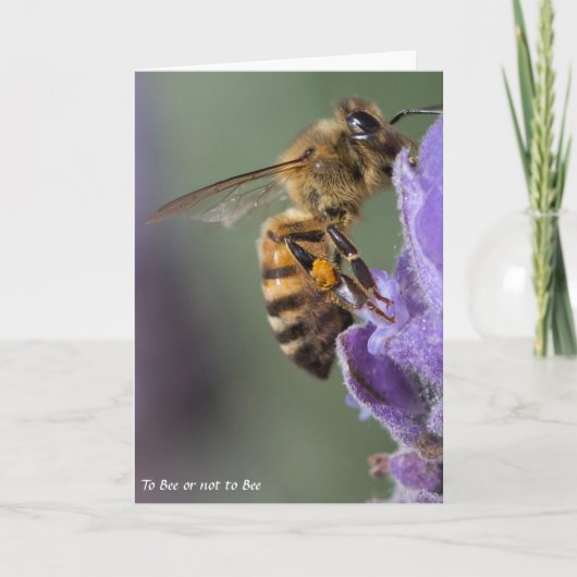 Carte de voeux d'abeille de miel vide (Devant)