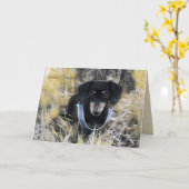 Carte de voeux Dachshund (Fleur jaune)