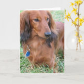 Carte de voeux Dachshund (Fleur jaune)