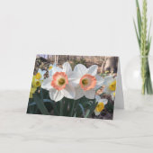 Carte de voeux Daffodil congrat jumeaux (Devant)