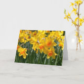 Carte de voeux Daffodils Spring (Fleur jaune)