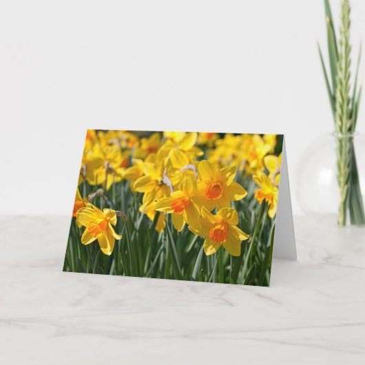 Carte de voeux Daffodils Spring (Devant)