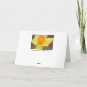 Carte de voeux Daffodique (Dos)
