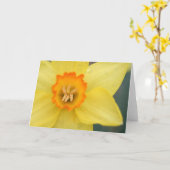 Carte de voeux Daffodique (Fleur jaune)
