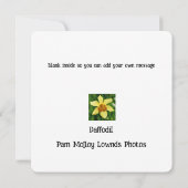 Carte de voeux Daffodique (Dos)