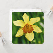 Carte de voeux Daffodique (Devant/Arrière en situation)