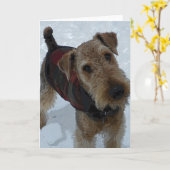 Carte de voeux d'Airedale Terrier (Fleur jaune)