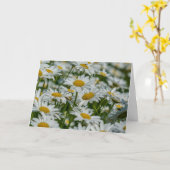 Carte de voeux - Daises dans le Vermont (Fleur jaune)