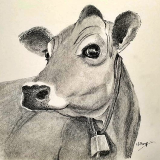 Carte de vœux Daisy Cow