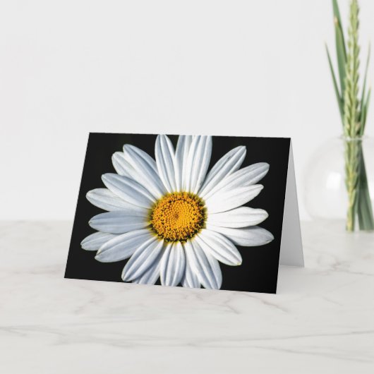 Carte de voeux Daisy Mae (Devant)