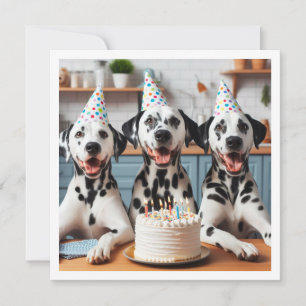 Carte de voeux dalmate, anniversaire dalmate