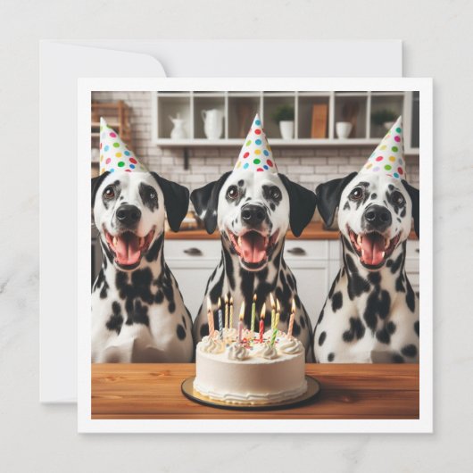 Carte de voeux dalmate, anniversaire dalmate (Devant)