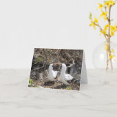 Carte de vœux d'amitié Nazca Bird (Fleur jaune)
