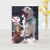 Carte de voeux d'amour (avec Chiens) (Fleur jaune)
