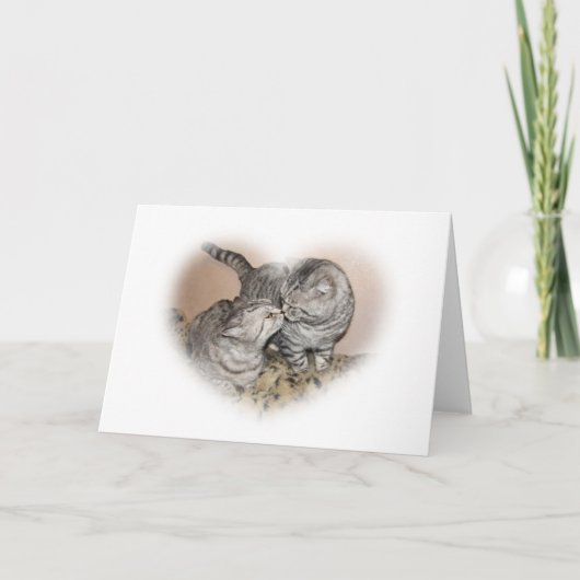 Carte de voeux d'amour de chat (Devant)