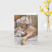 Carte de vœux d'amour de chaton (Fleur jaune)