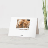 carte de voeux d'amour lion (Dos)