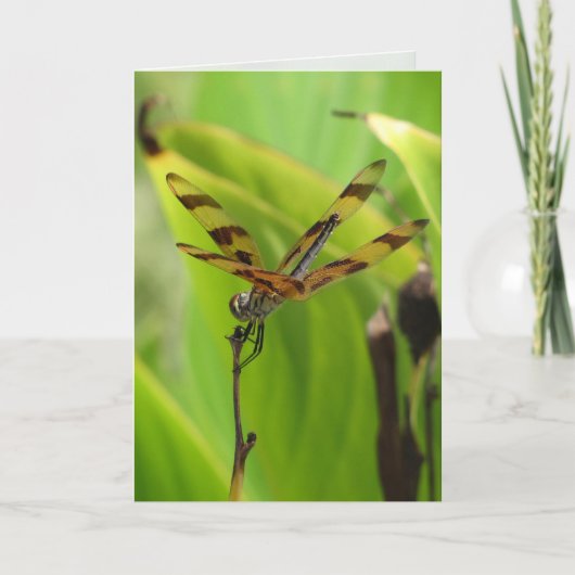 Carte de voeux Dancing Dragonfly (Devant)