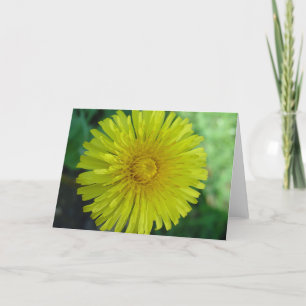 Carte de voeux - Dandelion