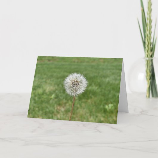 Carte de voeux Dandelion (Devant)