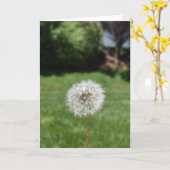 Carte de voeux Dandelion (Fleur jaune)