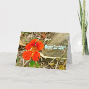 Carte de voeux d'anniversaire !