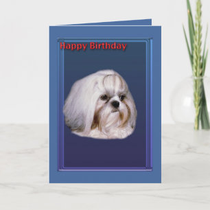 Carte de voeux d'anniversaire avec Shih Tzu